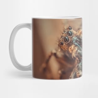 Cute & Curious Jumping Spider Macro Photograph Mug